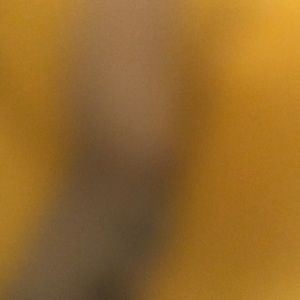 Meet your Posher, Desiree